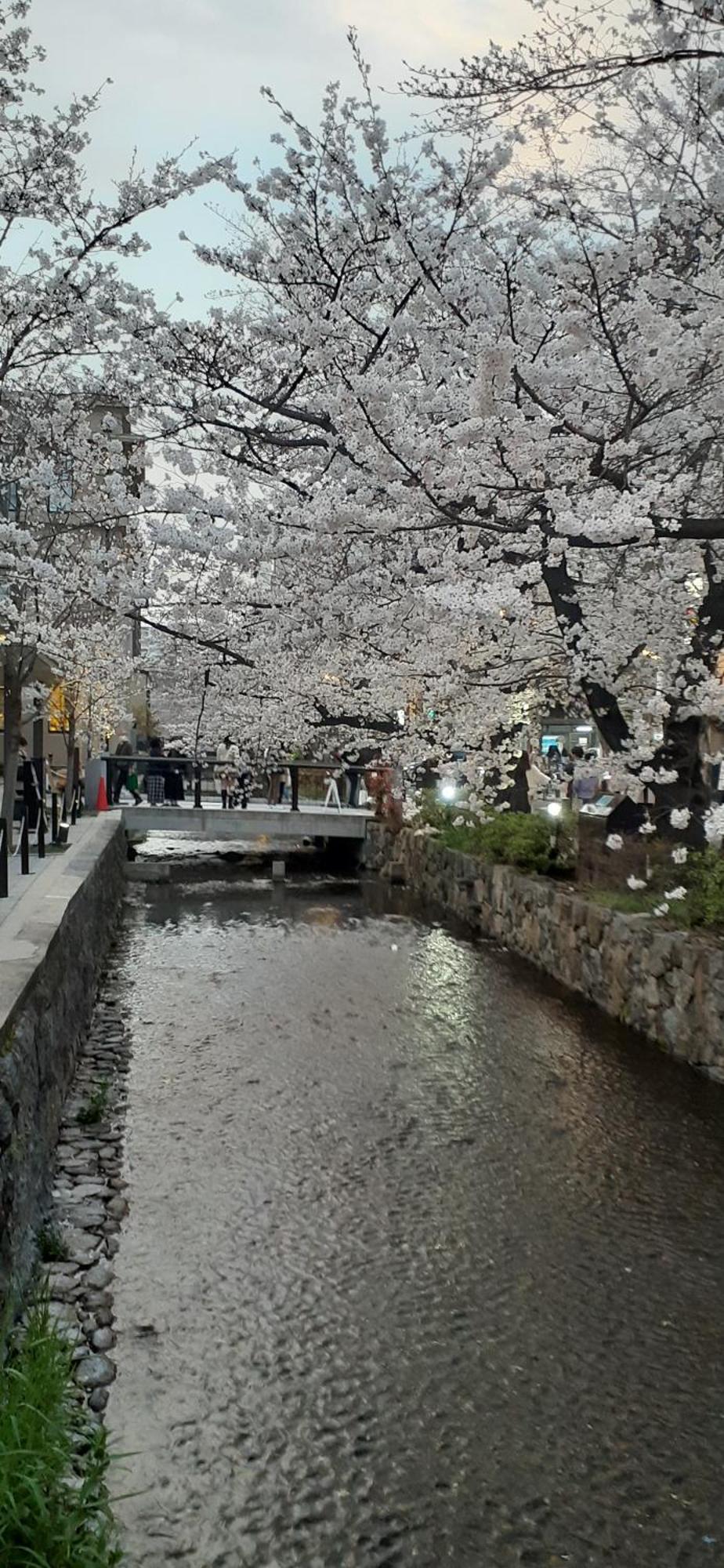 Izutsu Kawaramachi Sanjo Kyōto